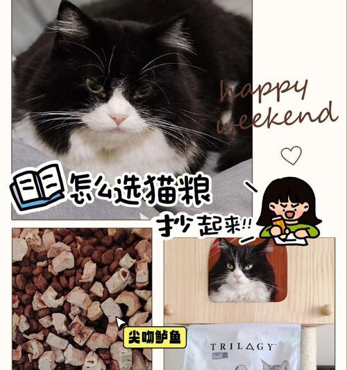 土猫必须吃肉吗为什么不吃猫粮？鲈鱼可以吃猫粮吗怎么喂？
