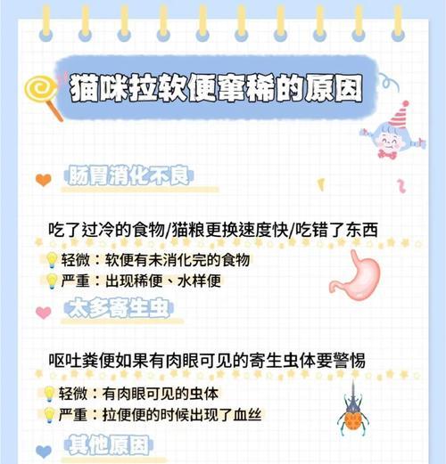 猫粮吸收好屎少怎么办