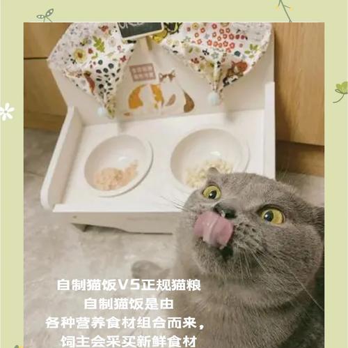 猫饭能否替代猫粮长期食用？