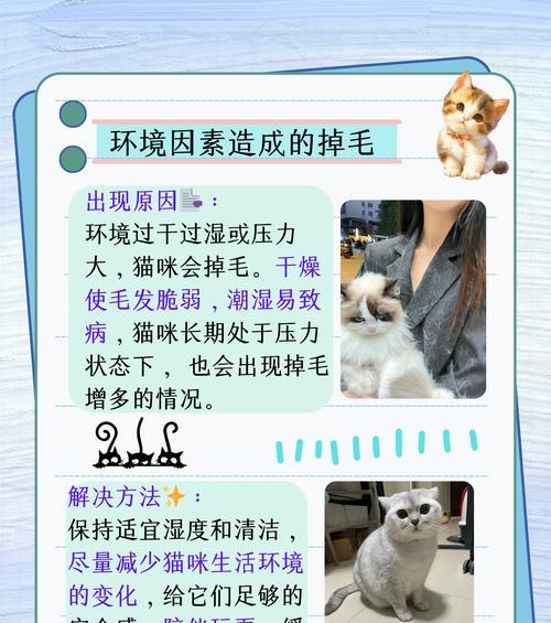 奶猫掉毛是猫粮问题吗？如何解决？