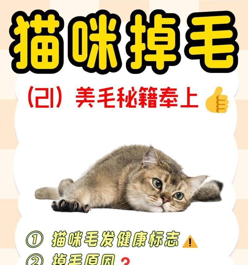 奶猫掉毛是猫粮问题吗？如何解决？