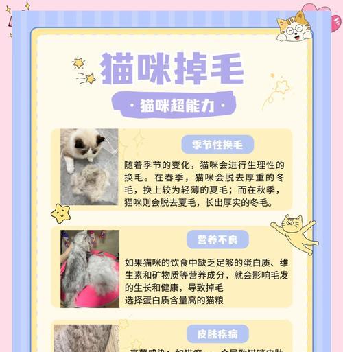 奶猫掉毛是猫粮问题吗？如何解决？