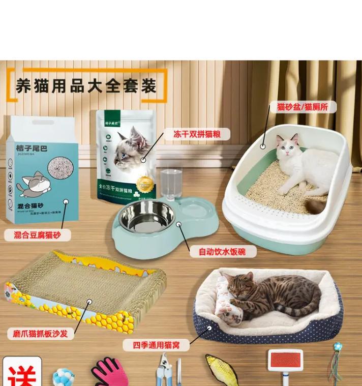 如何防止猫将猫粮扔进猫砂盆？