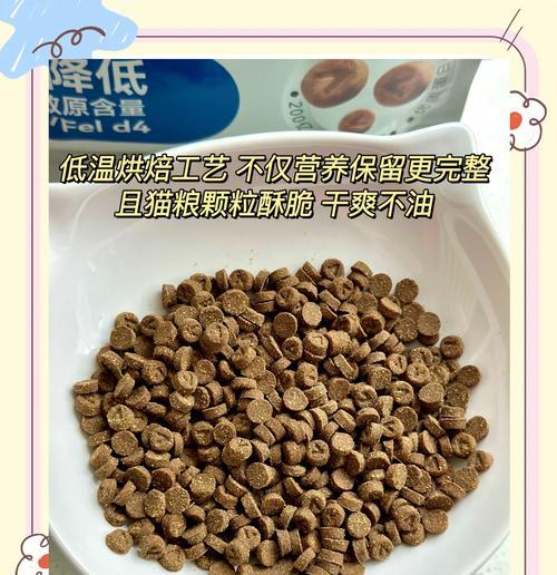 防毛猫过敏猫粮如何食用？有哪些注意事项？