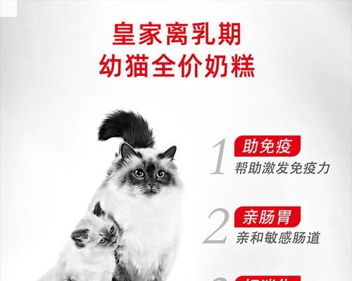 四个月大的奶猫应该吃什么猫粮？