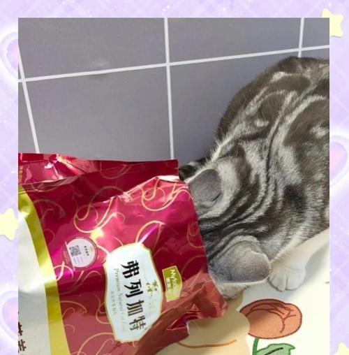 四个月大的奶猫应该吃什么猫粮？