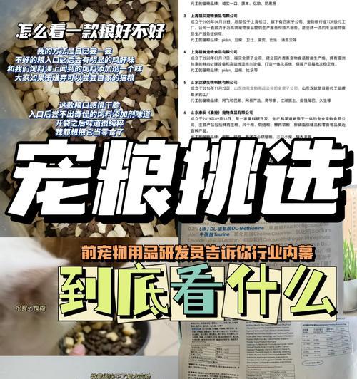 收到未购买的猫粮该如何处理？