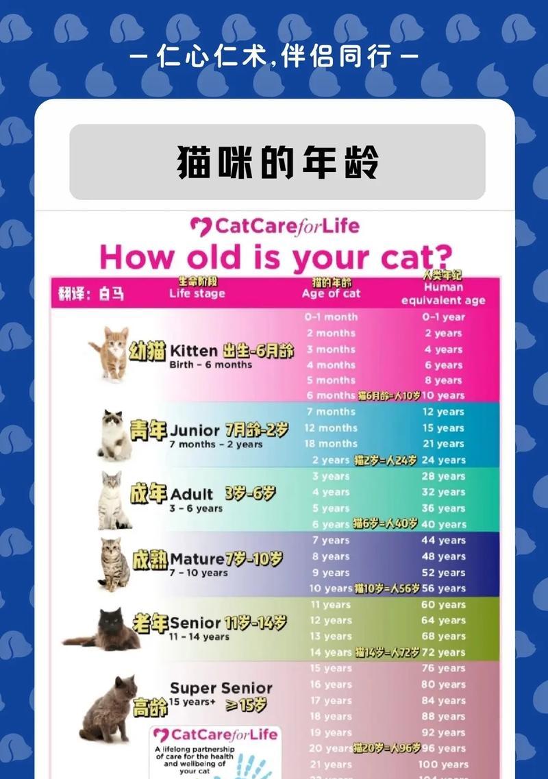 老猫牙齿退化咬不动猫粮怎么办？