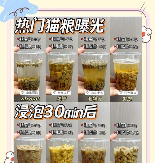 怎么给猫粮泡水喝呢？泡水猫粮对猫咪有何好处？