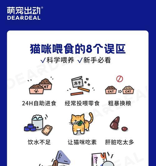 直接倒满猫粮喂食好吗？正确的喂食方法是什么？