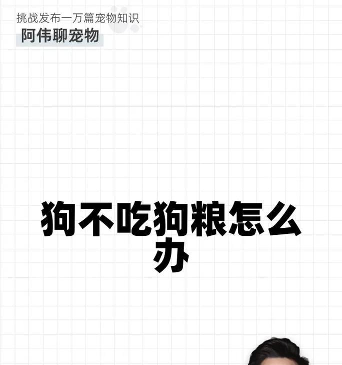 狗子突然拒绝吃自制狗粮的原因是什么？如何应对？