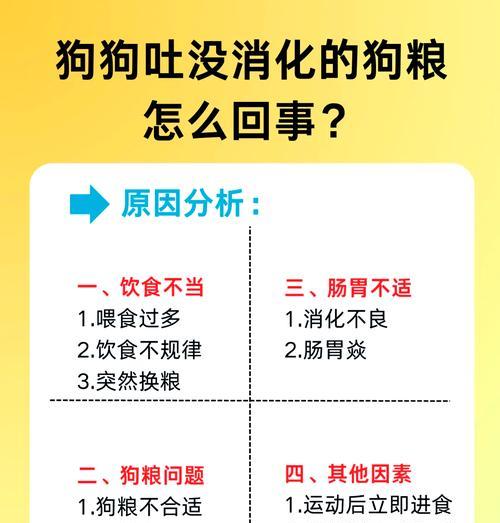 狗子突然拒绝吃自制狗粮的原因是什么？如何应对？