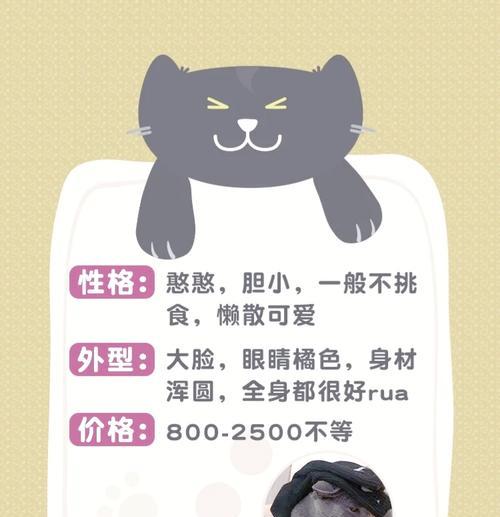 蓝猫第十三天应该吃什么猫粮？如何选择合适的猫粮？