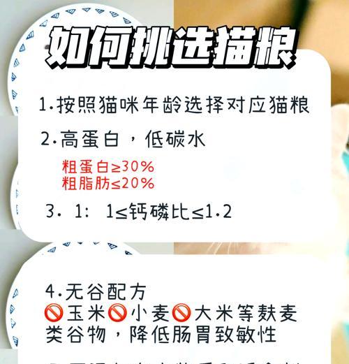 玉米能替代猫粮吗？有什么原因？