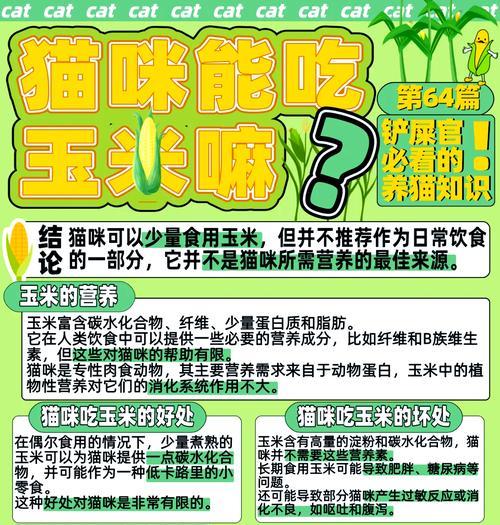 玉米能替代猫粮吗？有什么原因？