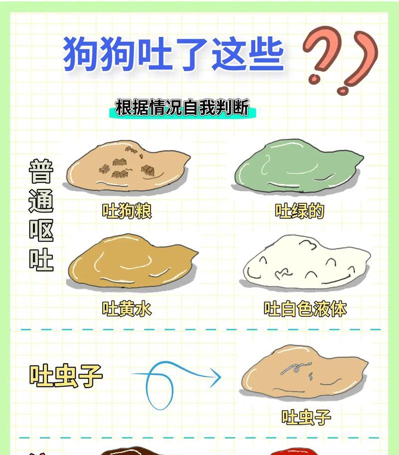 小狗食用猫粮后呕吐如何处理？