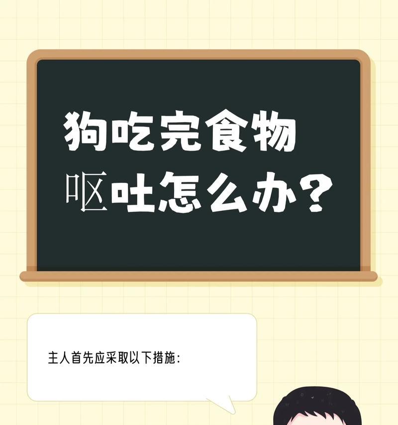 小狗食用猫粮后呕吐如何处理？