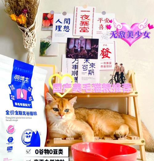 哪种猫粮能防止猫咪中毒和掉毛？