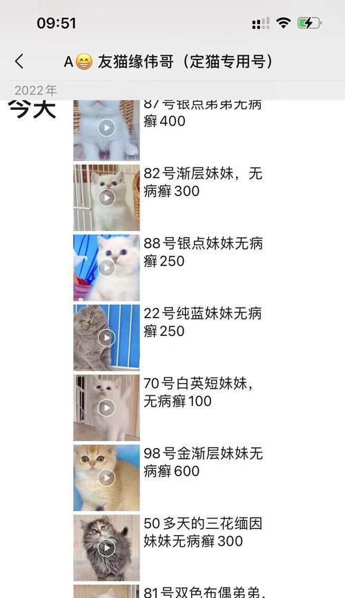 猫带回家不吃猫粮怎么办？