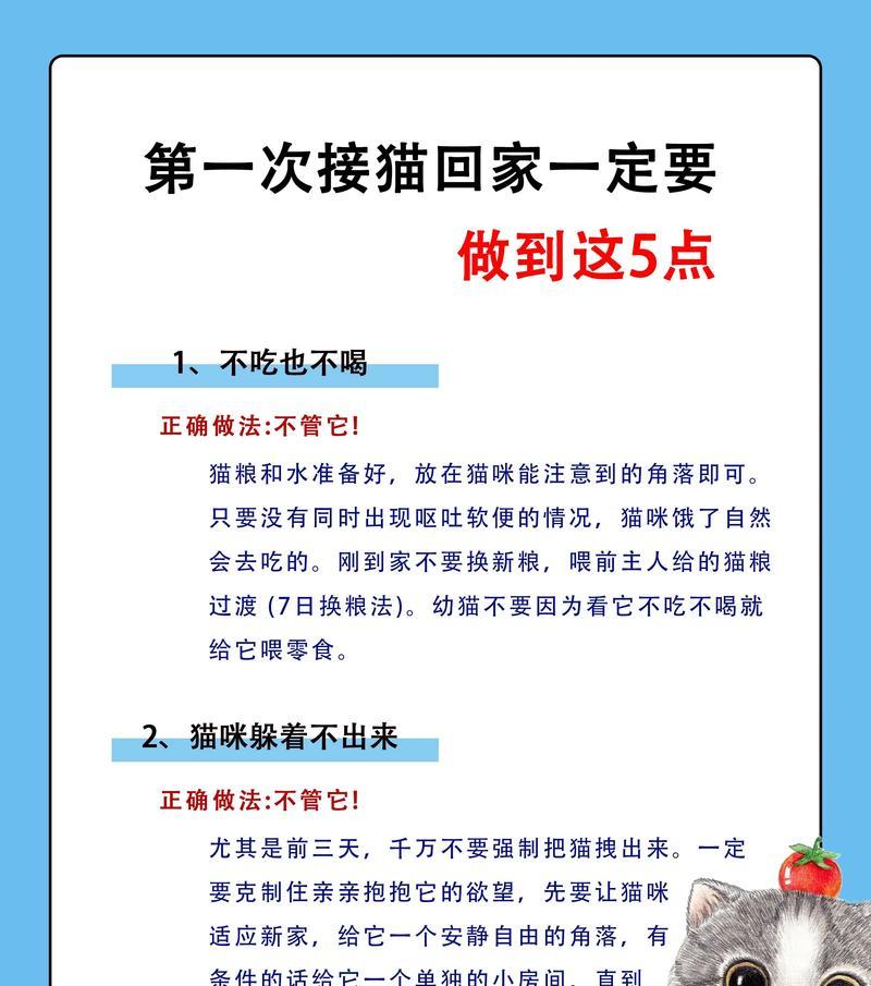 猫带回家不吃猫粮怎么办？