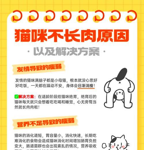 如何检测猫粮中使用的肉类成分？