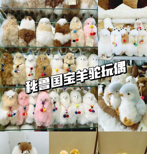 如何挑选不同高度的羊驼？挑选羊驼的标准是什么？