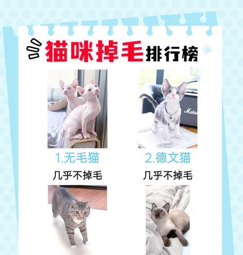 朗仕猫粮会导致猫咪掉毛吗？掉毛的原因是什么？