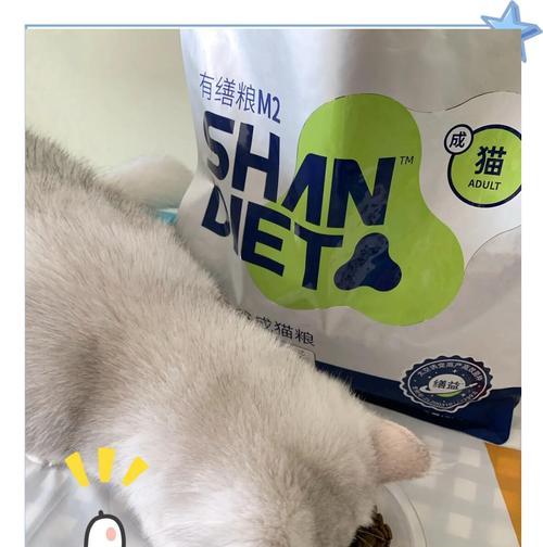 放猫粮能否缓解猫咪吵架？这样做有什么后果？