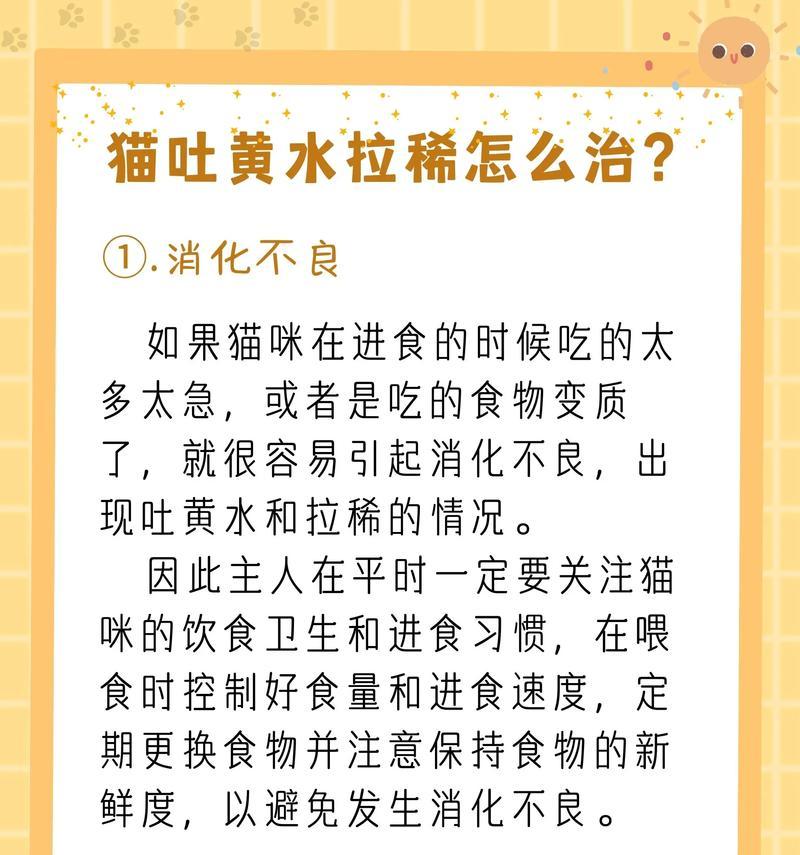 猫咪突然三四天不吃猫粮还吐黄水是为什么？这可能是哪些健康问题的信号？