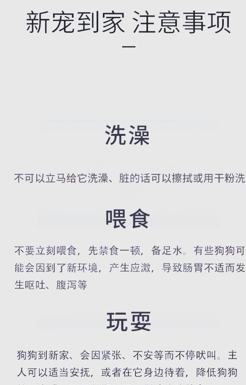 被德牧咬伤后需要打狂犬疫苗吗？费用大概是多少？