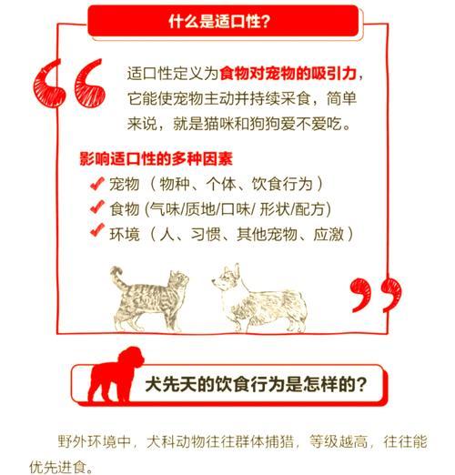 猫咪偏食猫粮：如何改善饮食习惯？