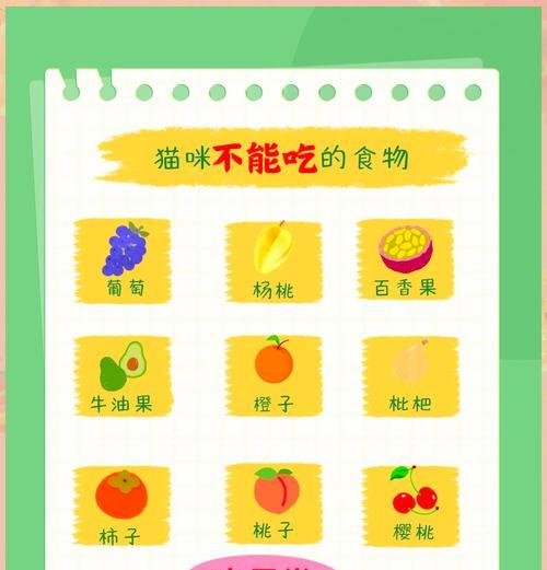 猫咪偏食猫粮：如何改善饮食习惯？