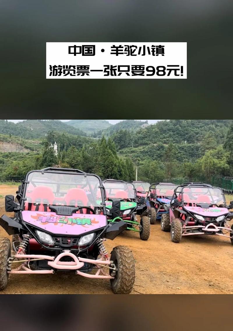 金沙去羊驼小镇的最佳路线是什么？如何最方便地到达？
