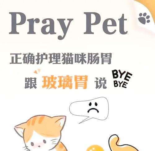 猫粮的形状会影响猫咪的肠胃吗？原因是什么？