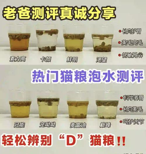 猫粮需要泡水吗？正确的泡水方法是什么？