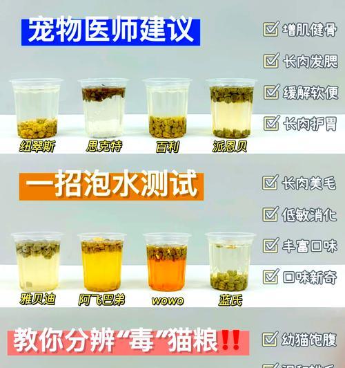 猫粮需要泡水吗？正确的泡水方法是什么？