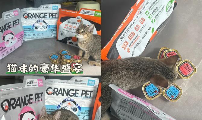 猫粮橙宠怎么样？橙宠猫粮的优缺点是什么？