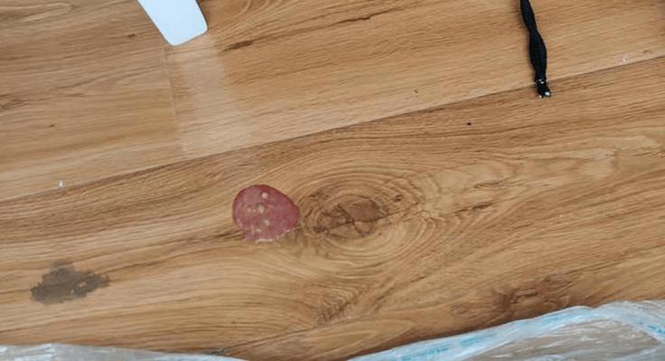 人类误食猫粮后吐血会致命吗？原因是什么？