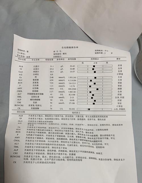 人类误食猫粮后吐血会致命吗？原因是什么？
