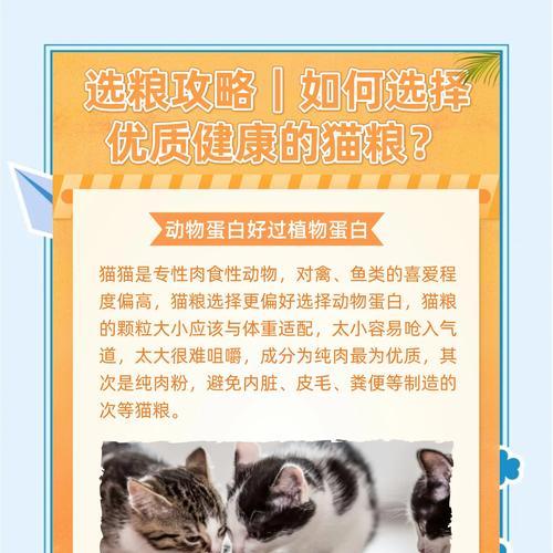 选择猫粮时应注意什么？如何挑选最佳猫粮？