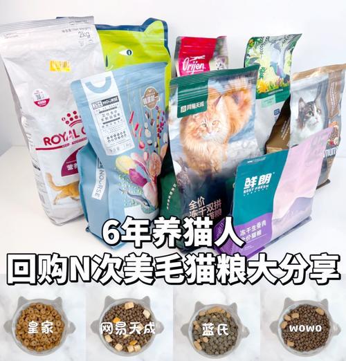 美短猫的饮食偏好是什么？哪种猫粮最适合美短猫？
