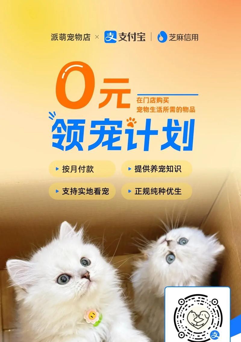 买猫粮送猫的优惠活动有哪些？