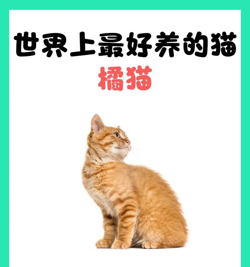 大橘猫不吃喵粮一直叫是为什么？可能的原因是什么？