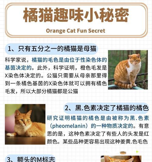 大橘猫不吃喵粮一直叫是为什么？可能的原因是什么？