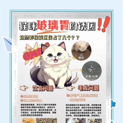 猫咪长期食用猫粮导致胃部不适的原因是什么？