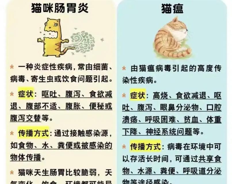 猫咪长期食用猫粮导致胃部不适的原因是什么？