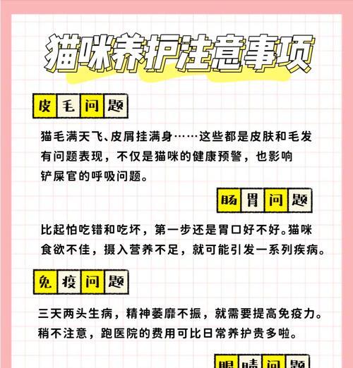 猫咪长期食用猫粮导致胃部不适的原因是什么？