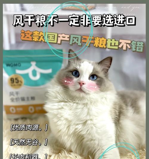自动猫粮机安装天花板的步骤是什么？