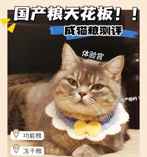 自动猫粮机安装天花板的步骤是什么？