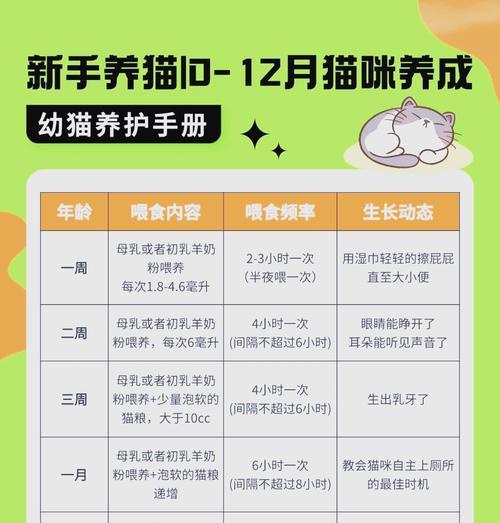 小猫满月不会吃猫粮如何训练？